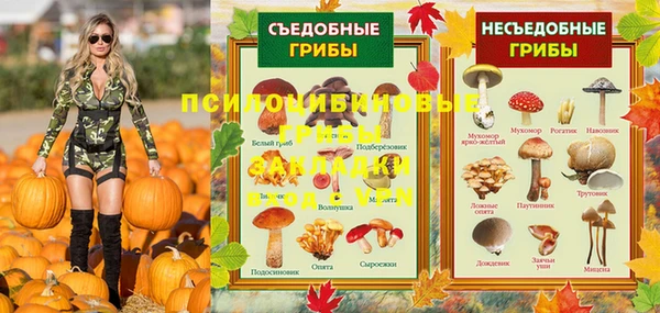 метадон Арсеньев