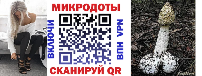 OMG как войти  купить   Чаплыгин  Псилоцибиновые грибы GOLDEN TEACHER 