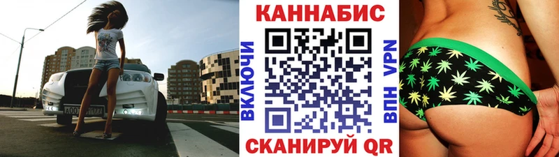 Конопля гибрид  Чаплыгин 